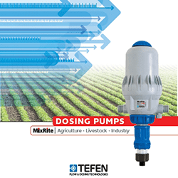 ANTLIES_IDROLIPANSIS